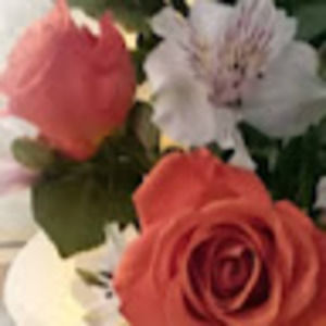 Meet your Posher, Karyn